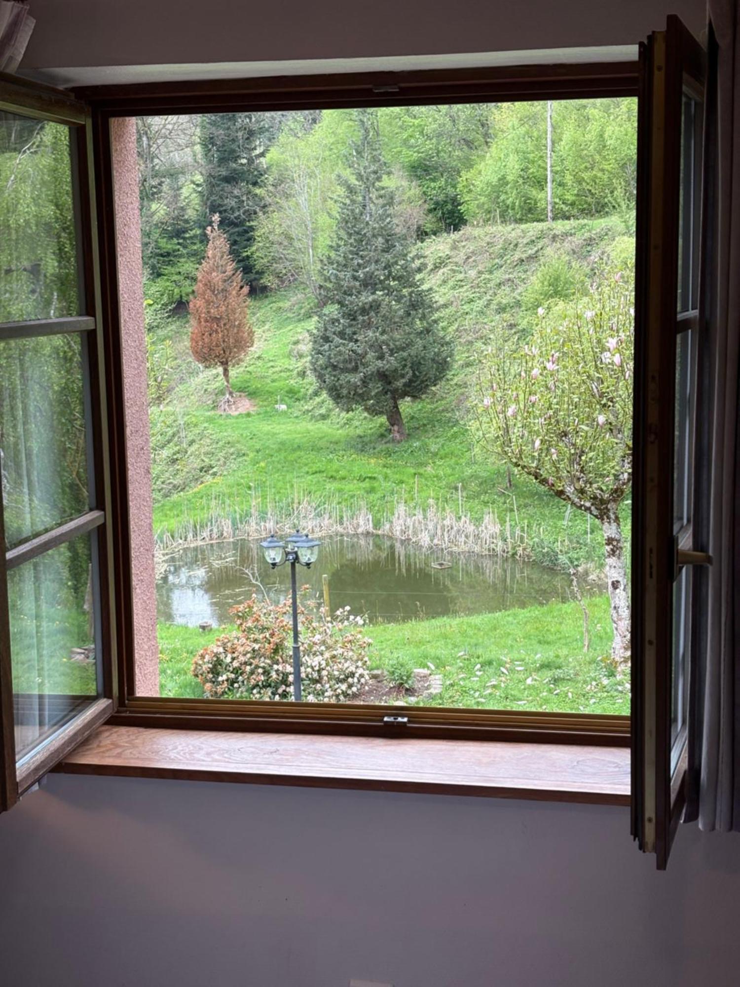 La Belle Charbonnière *
